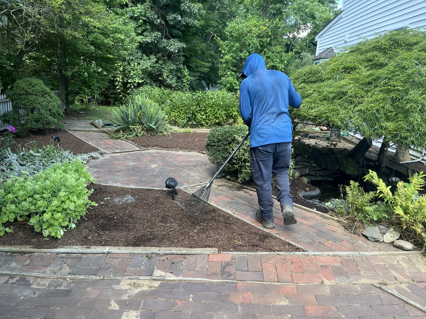 Cleared and mulched brick garden path after cleanup