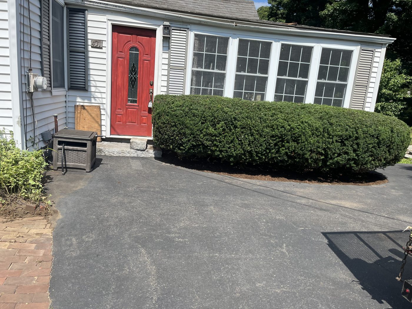 Full, rounded foundation shrub, neatly trimmed