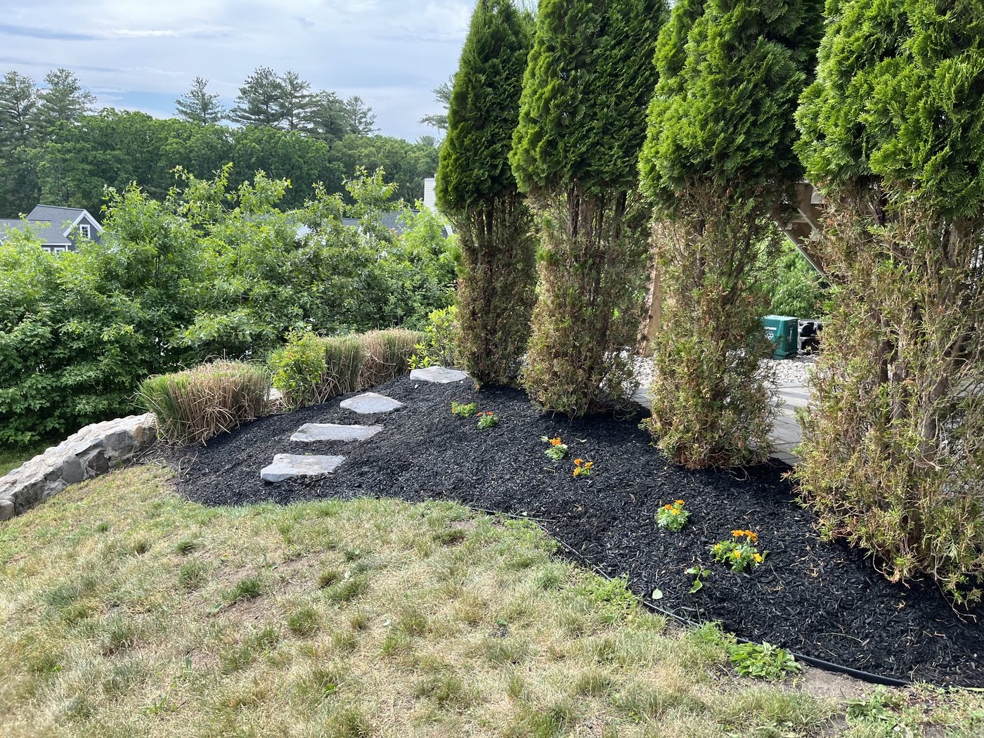 Hillside planting bed with arborvitae and stone steppers
