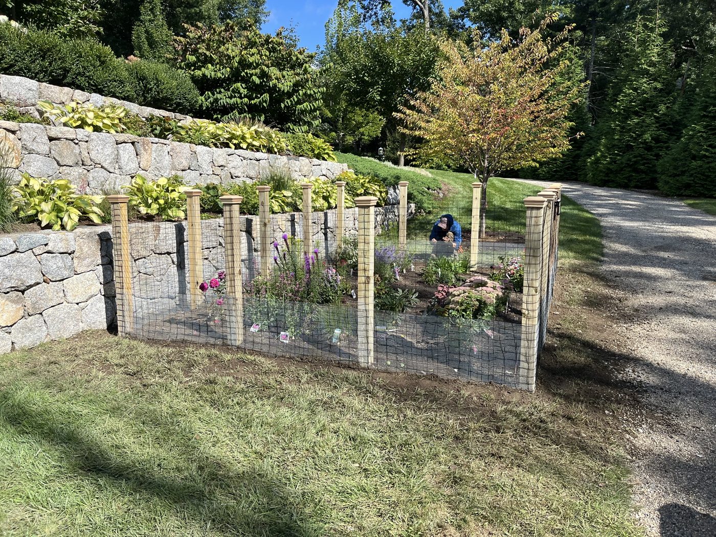Finished planting bed along the stone wall